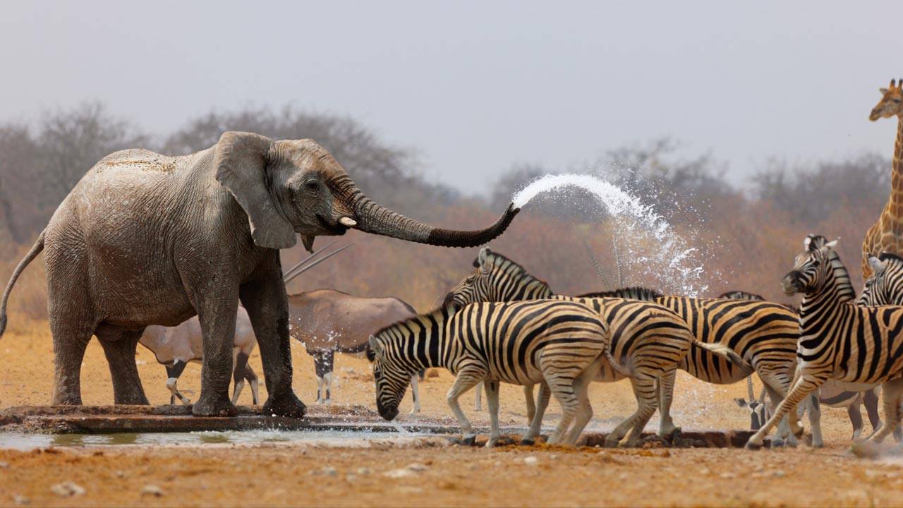 Yankari National Park, Bauchi