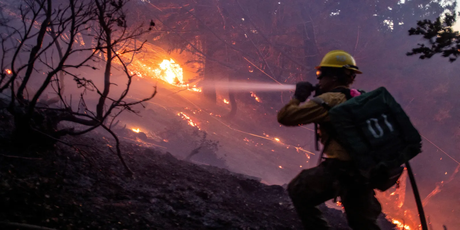 Wildfires in Los Angeles